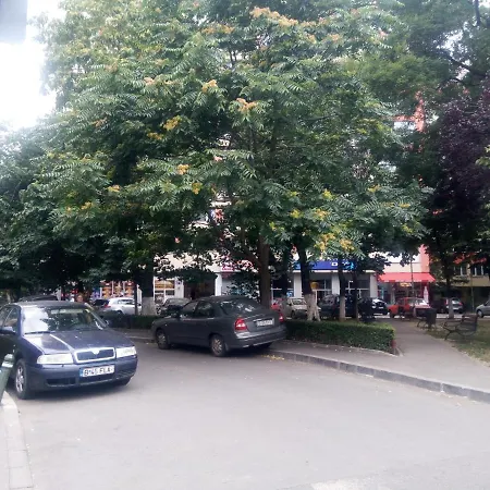 Anca Bucureşti